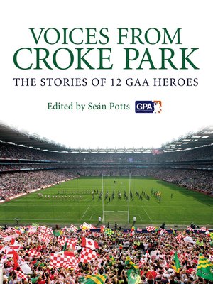 cover image of Voices from Croke Park